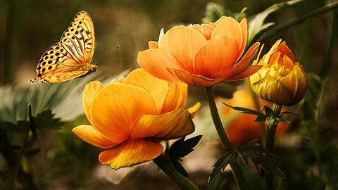 Hangzhi Flores De Colores De Moda Crisantemo Cuentas Chakra 